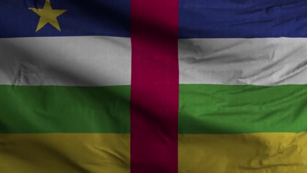 Información Sobre Lazo Bandera República Centroafricana — Vídeos de Stock