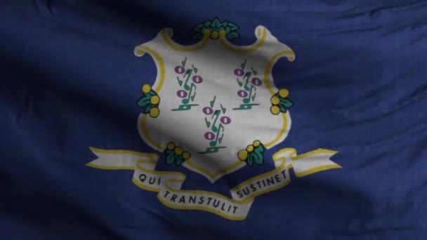 État Connecticut Fond Boucle Drapeau — Video
