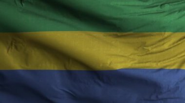 Gabon Bayrak Döngüsü Arkaplan 4K