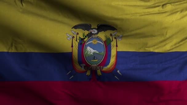 厄瓜多尔国旗环背景图4K — 图库视频影像