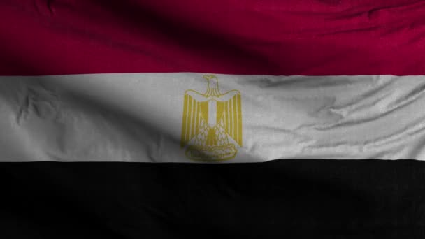 Egypt Vlajková Smyčka Pozadí — Stock video