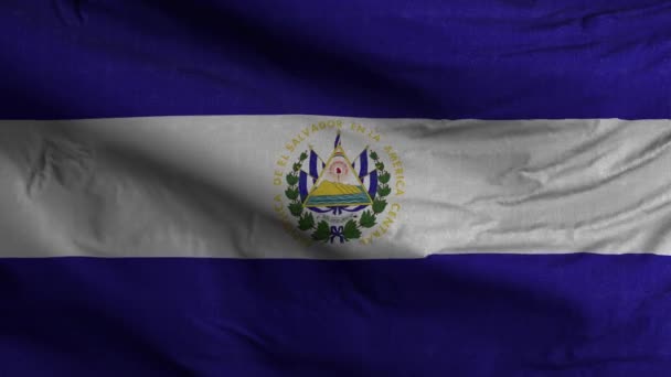 Salvador Flag Loop Achtergrond — Stockvideo