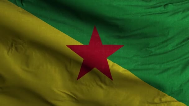 Franse Guyana Flag Loop Achtergrond — Stockvideo