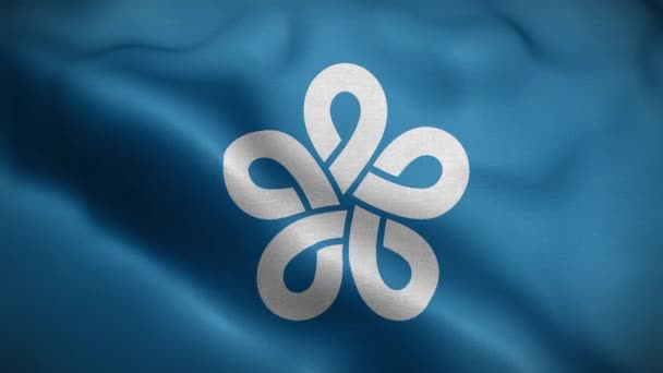 Fukuoka Prefecture Japan Flag Loop Background — Stock Video