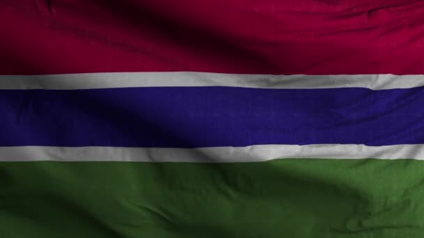 Gambia Flagge Schleife Hintergrund — Stockvideo