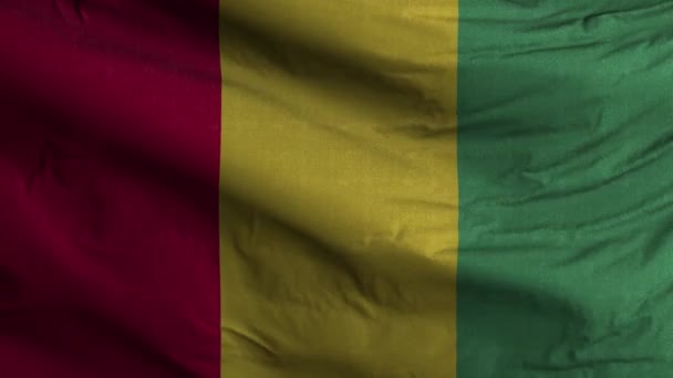 Fondo Bucle Bandera Guinea — Vídeos de Stock