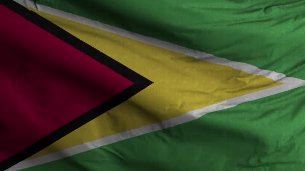 Guyana Bandera Loop Fondo — Vídeos de Stock