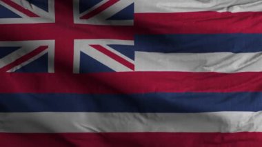 Hawaii Eyaleti Bayrak Döngüsü Arkaplan 4K