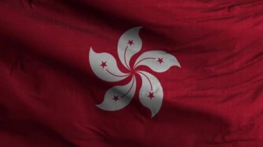 Hong Kong Bayrak Döngüsü Arkaplan 4K