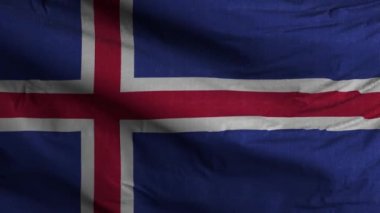 Hindistan Bayrak Döngüsü Arkaplan 4K 