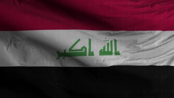 Круговорот Иракского Флага — стоковое видео