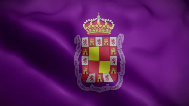 Jaén España Bandera Loop Antecedentes — Vídeos de Stock