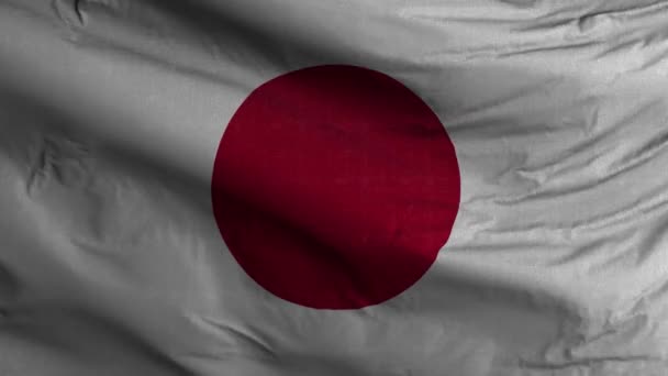 Japon Fond Boucle Drapeau — Video