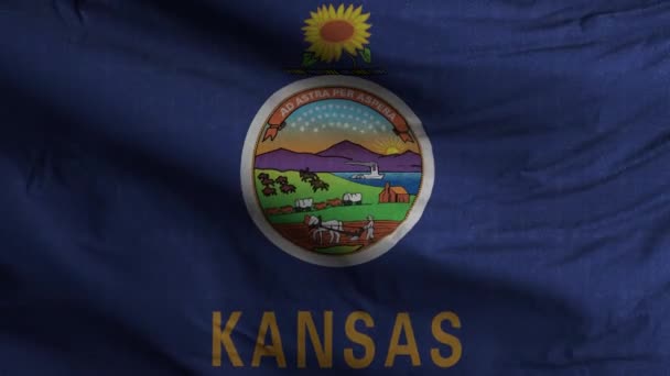 Kansas Eyaleti Bayrak Döngüsü Arkaplan — Stok video