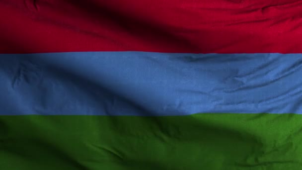 Karelia Flagge Schleife Hintergrund — Stockvideo
