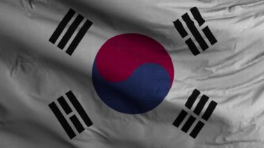 Güney Kore Bayrak Döngüsü Arkaplan 4K