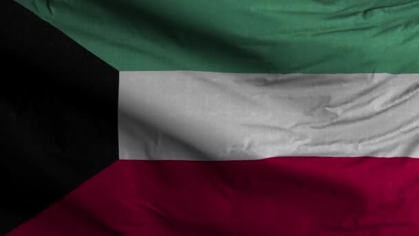 Kuwait Flagge Schleife Hintergrund — Stockvideo
