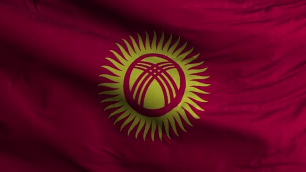 Kyrgyzstan Flag Loop Background — Stock Video