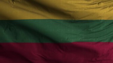 Litvanya Bayrak Döngüsü Arkaplan 4K 