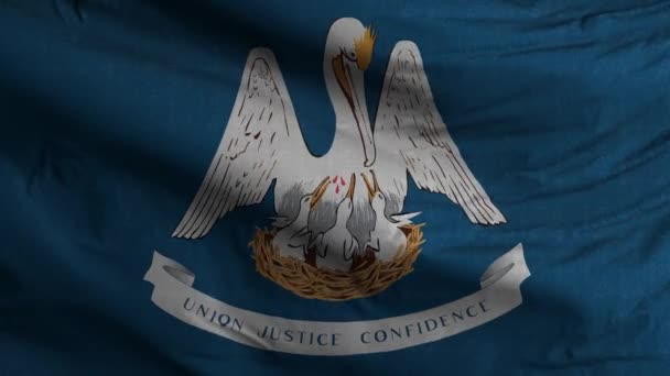 Λουιζιάνα Κράτος Σημαία Loop Φόντο — Αρχείο Βίντεο