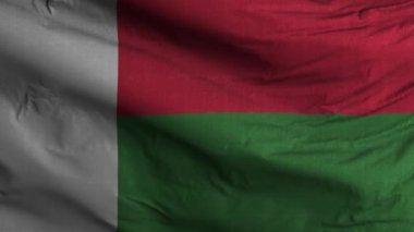 Madagaskar Bayrak Döngüsü Arkaplan 4K