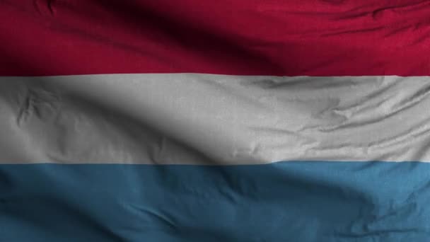 Luxemburg Flaggenschleife Hintergrund — Stockvideo