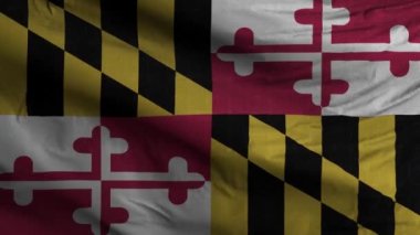 Maryland Eyaleti Bayrak Döngüsü Arkaplan 4K