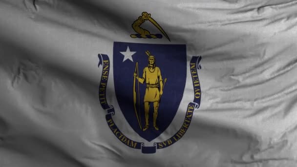 Massachusetts State Flag Loop Background — Stock video