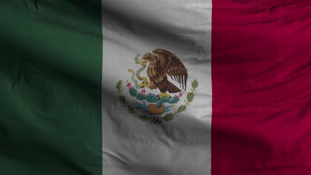 Mexico Flag Loop Bakgrund — Stockvideo