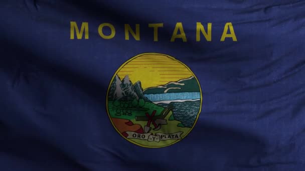 Montana State Flag Loop Bakgrund — Stockvideo