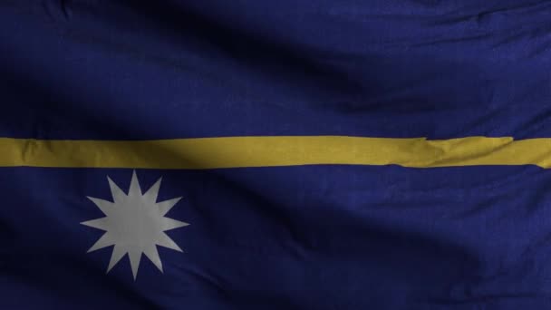 Φόντο Βρόχων Σημαίας Ναούρου — Αρχείο Βίντεο