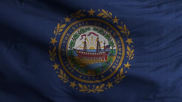 New Hampshire State Flag Fond Boucle — Video