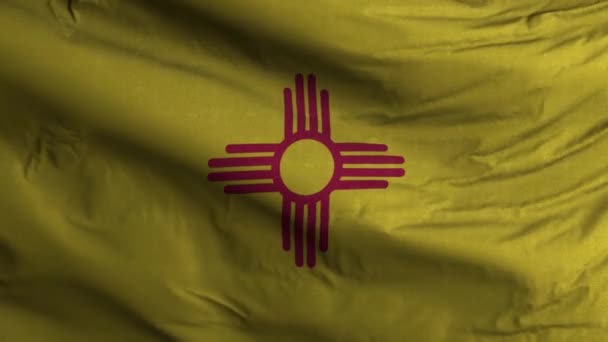 新墨西哥州国旗圈背景4K — 图库视频影像