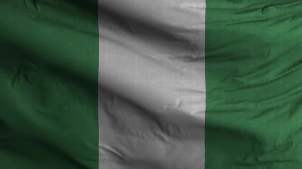 Nigeria Flagga Loop Bakgrund — Stockvideo