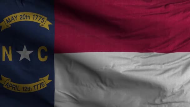 North Caroline State Flagge Schleife Hintergrund — Stockvideo