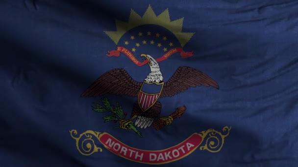 Dakota Nord Fond Boucle Drapeau État — Video