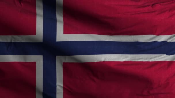 Bandeira Noruega Loop Fundo — Vídeo de Stock