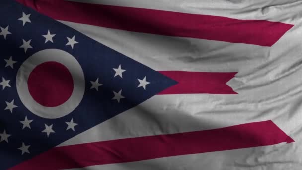 Ohio State Flag Loop Antecedentes — Vídeos de Stock