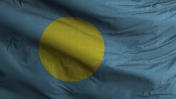 Palau Bayrak Döngüsü Arkaplan — Stok video