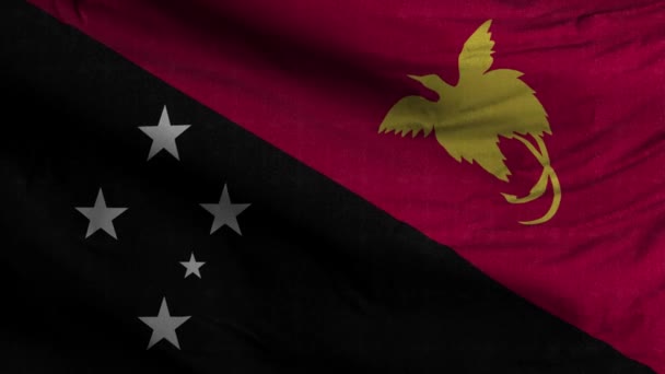 Papua Nová Guinea Vlajková Smyčka Pozadí — Stock video