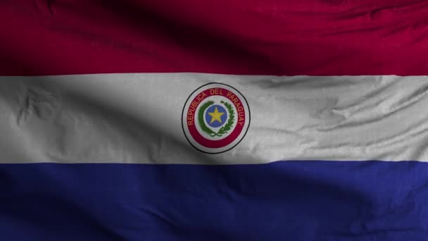 巴拉圭国旗圈背景4K — 图库视频影像
