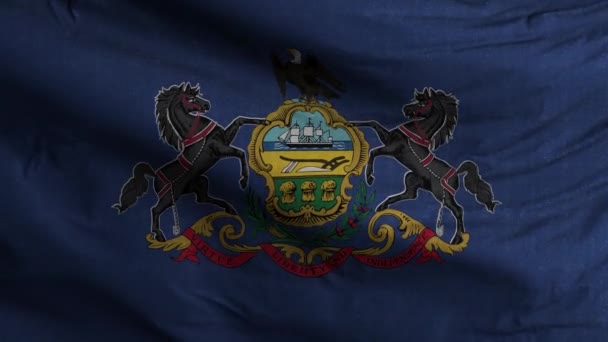 Pennsylvania State Flag Loop Bakgrund — Stockvideo