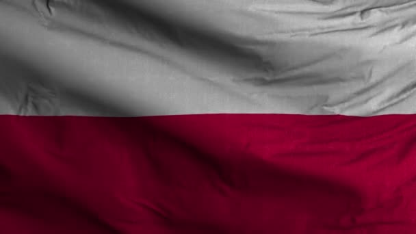 Polen Flagge Schleife Hintergrund — Stockvideo