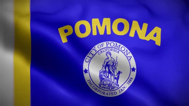 Pomona California Usa Flag Loop Bakgrunn – stockvideo