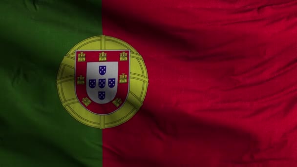 Portugal Flagg Loop Bakgrund — Stockvideo