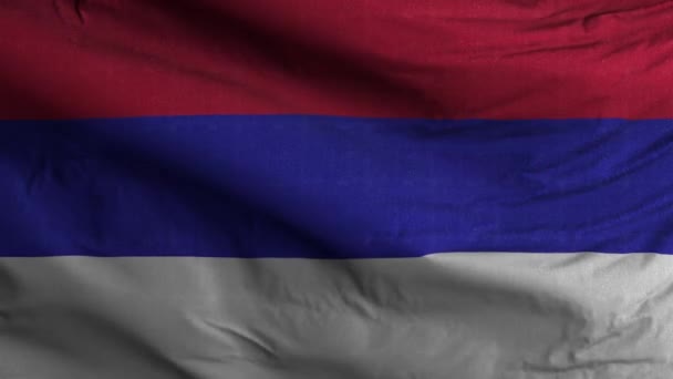 Republik Srpska Flagge Schleife Hintergrund — Stockvideo