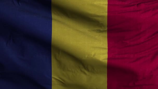 Rumänien Flagge Schleife Hintergrund — Stockvideo