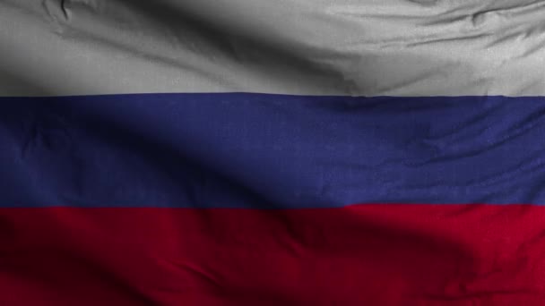 Russland Flagge Schleife Hintergrund — Stockvideo