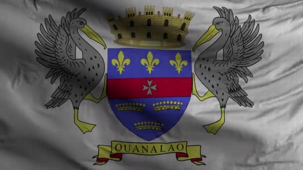 Saint Barthélémy Fond Boucle Drapeau — Video