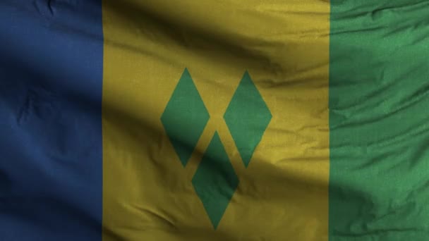 Saint Vincent Grenadines Flag Loop Background — Stock Video